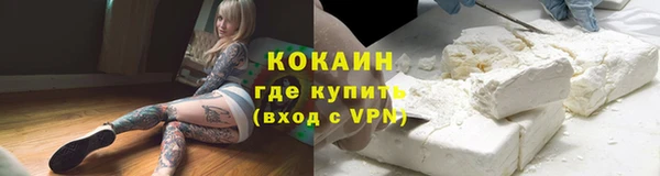 jwh Алзамай