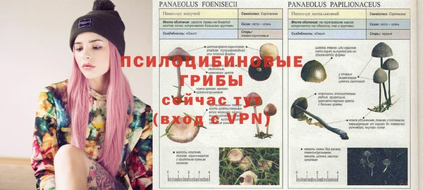 героин Алексин
