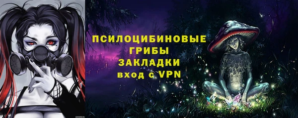 молекула духа Аркадак